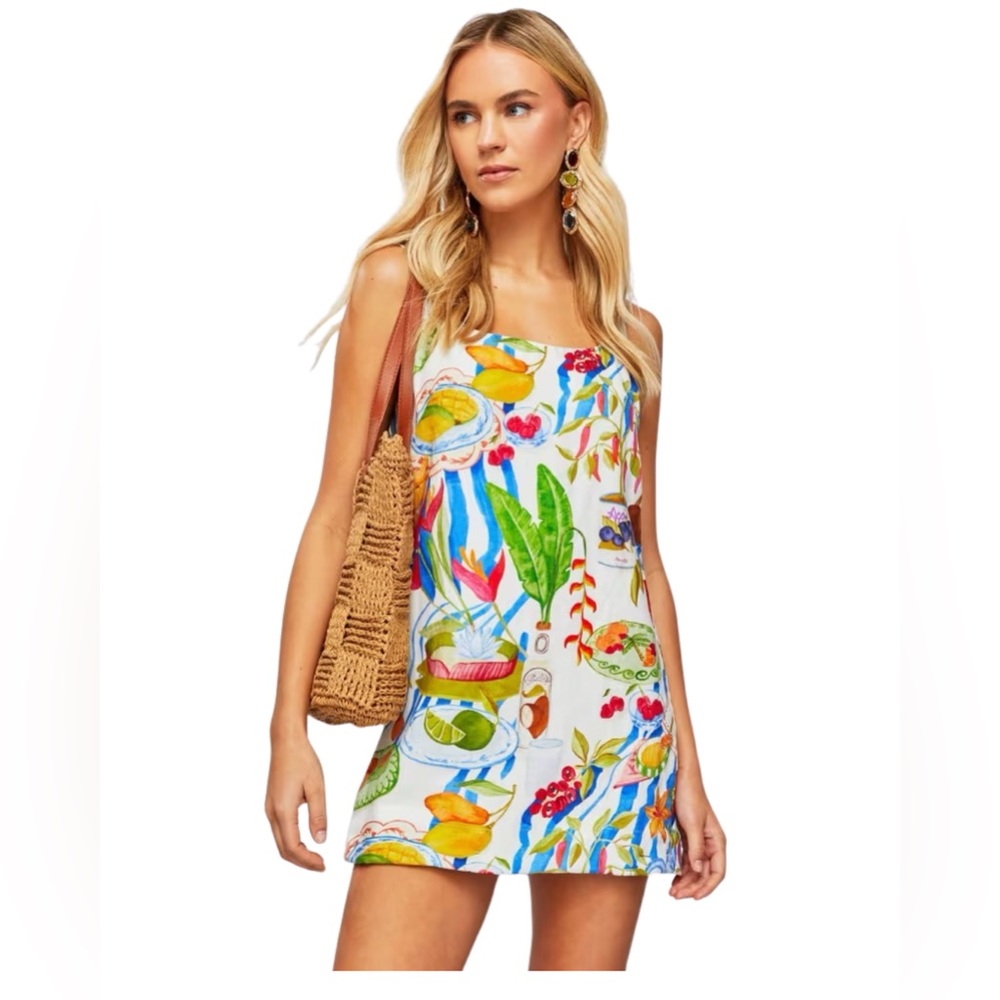 Farm Rio Fresh Table Linen Sleeveless Scoop Neck Mini Dress Small Euro Summer